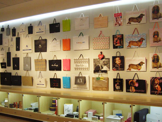 Shopping Bag Showroom