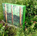 Green and Eco-Friendly bags