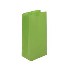 lime green kraft grocery sos paper grocery shopping bag