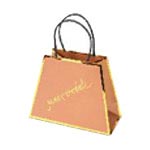 Trapezoid Shape Bags