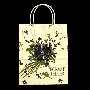 Bonwit Teller Shopping Bag