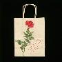 Lord & Taylor Shopping Bag