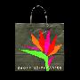 Plaza Frontenac Shopping Bag