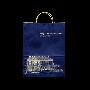 Smithsonian Shopping Bag
