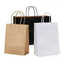 Twisted Paper Handle Shoppers