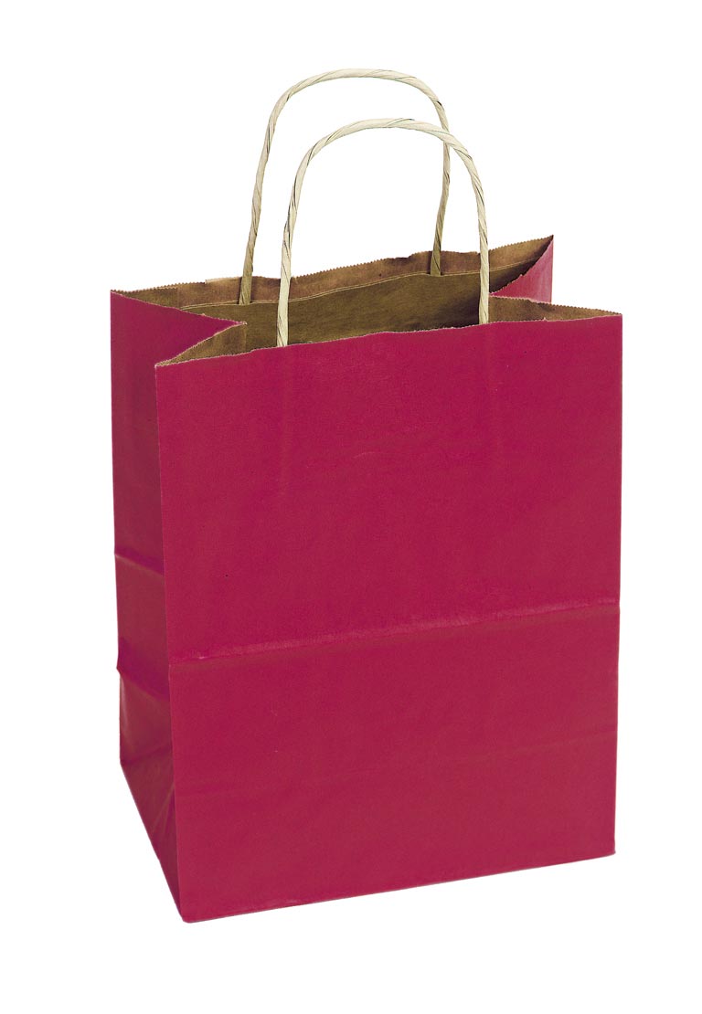 Twisted Paper Handle Shopping Bag - Red Tint