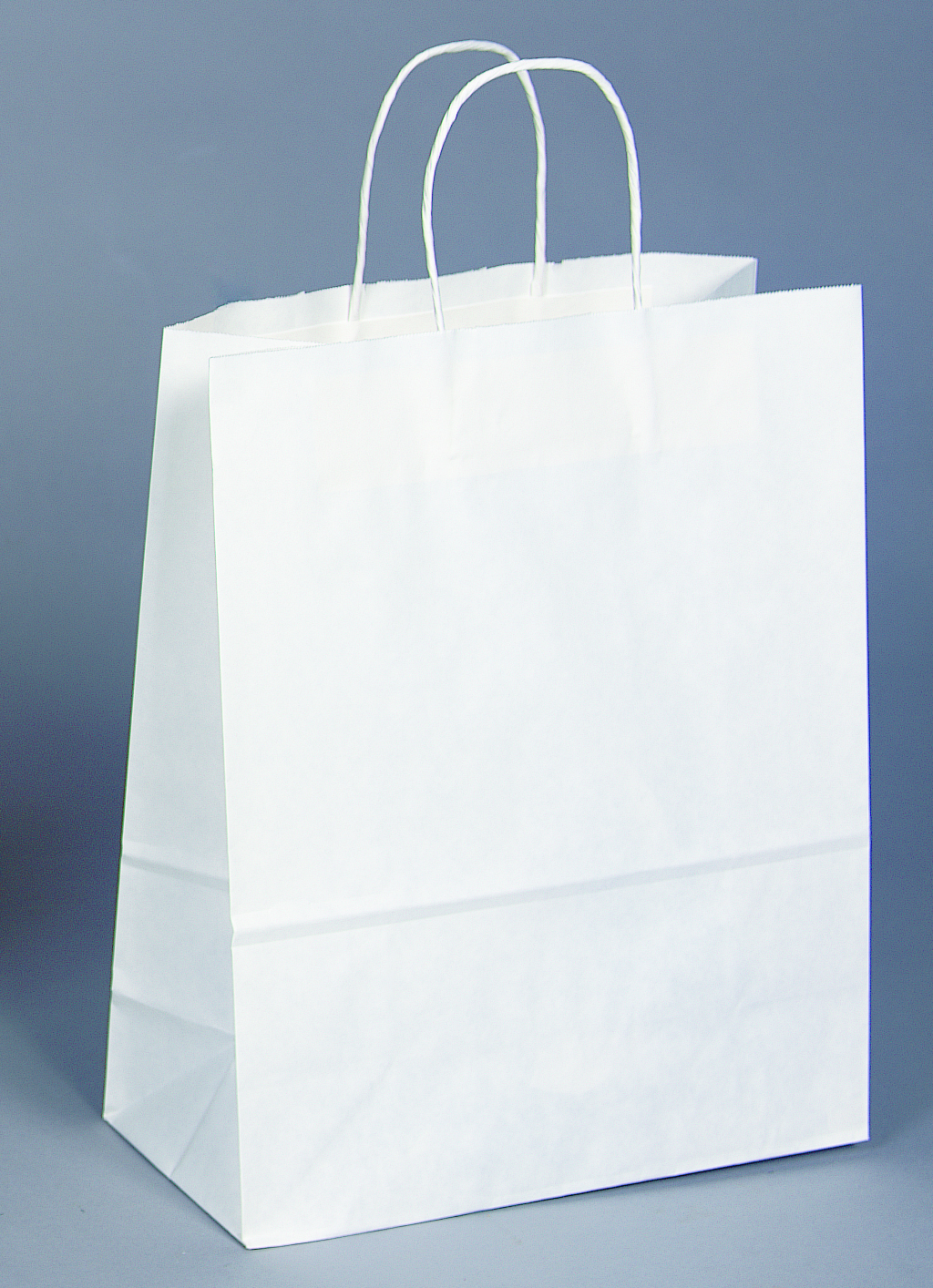 Google White Shopping Bag Icon