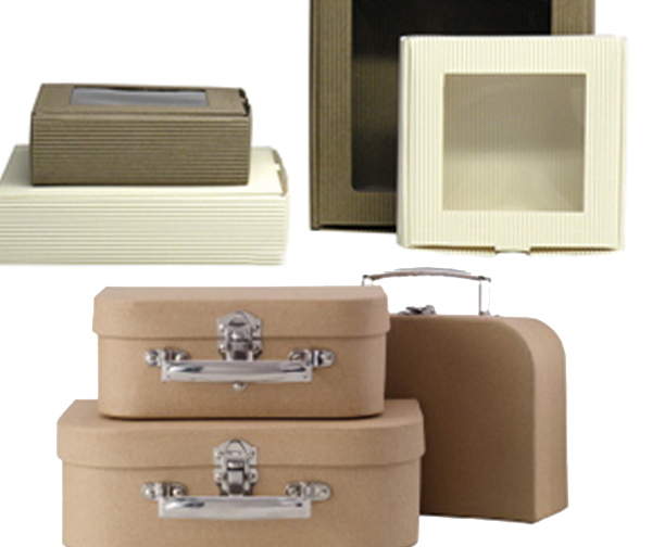 Eco Reusable Boxes