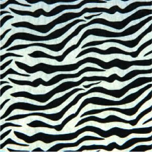 Zebra Stripe Tissue Paper