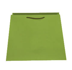 Trapezoid Shape Euro Paper Shopping Bag - Matte Pistachio