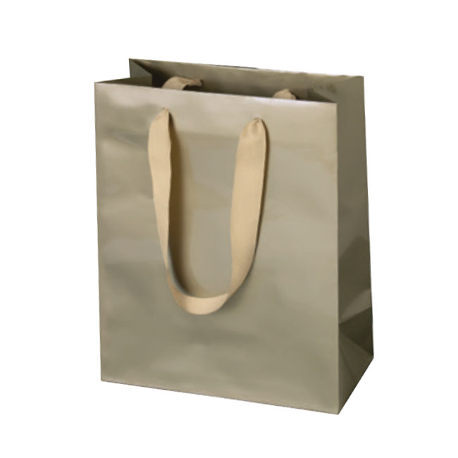 Champagne, Gloss Laminated, Grosgrain Handles - Assorted Sizes Champagne, Gloss Laminated, Grosgrain Handles - Assorted Sizes