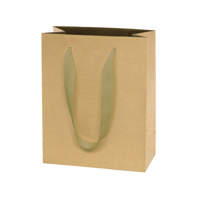 Recycled Kraft, Natural Finish, Cotton Twill Handles - Assorted Sizes