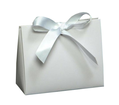 Euro Style Soft-Handle Laminated Paper Purse Bag /Box - Glossy White
