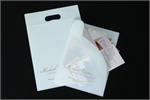 Reusable White Plastic Carry & File Bag