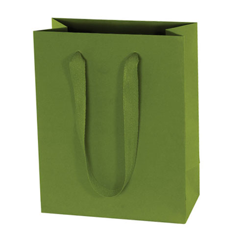 Aruba Green, Natural Finish, Cotton Twill Handles - Assorted Sizes