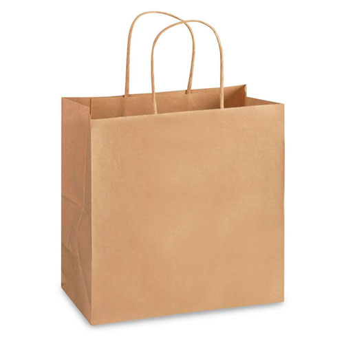 Natural Kraft, Twisted Paper Handles - 10" W x 5" G x 10" H