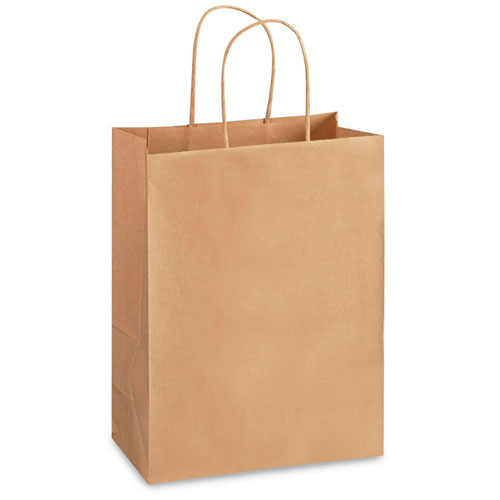 Natural Kraft, Twisted Paper Handles - 10" W x 5" G x 13" H 
