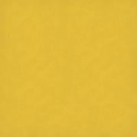 Goldenrod Yellow 20" x 30"