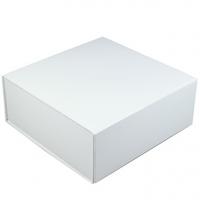 White Glossy - 8 x 8 x 3-1/8