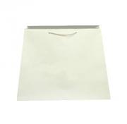 Trapezoid Shape Euro-Style Soft Handle Laminated Paper Shopping Bag - Matte Ivory