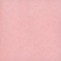 Blush 20" x 30"