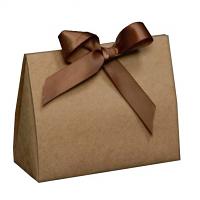 Purse Style Gift Bag or Bag - Natural Kraft