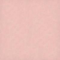 Light Pink 20" x 30"