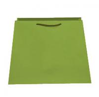 Trapezoid Shape Euro Paper Shopping Bag - Matte Pistachio