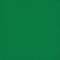Holiday Green 20" x 30"