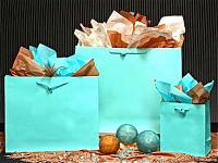 Matte Aqua Euro Tote Paper Shopping Bag