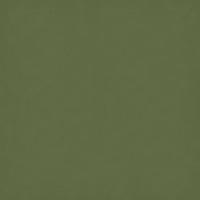 Olive Green 20" x 30"