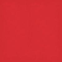 Mandarin Red 20" x 30"
