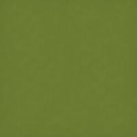 Aloe Green 20" x 30"