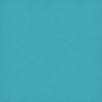 Bright Turquoise 20" x 30"