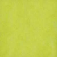 Limon 20" x 30"