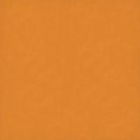 Apricot 20" x 30"