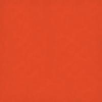 Orange 20" x 30"