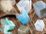 Frosted Poly Take Out Boxes