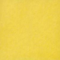 Buttercup Yellow 20" x 30"
