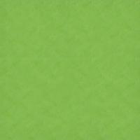 Citrus Green 20" x 30"